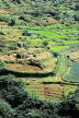 SRI LANKA, Ramboda, hillside scenery, terraced farmed land, SLK4380JPL
