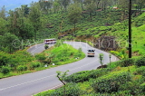 SRI LANKA, Ramboda, near Nuwara Eliya, road winding through Tea Plantations, SLK4384JPL