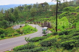 SRI LANKA, Ramboda, near Nuwara Eliya, road winding through Tea Plantations, SLK4386JPL