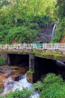 SRI LANKA, Ramboda, roadside waterfall and bridge, SLK4263JPL