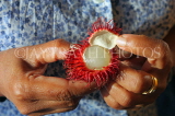 SRI LANKA, Rambutan fruit, opening fruit, SLK3008JPL