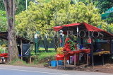 SRI LANKA, Rambutan fruit stall, along Kandy Road, SLK2471JPL