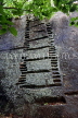 SRI LANKA, Sigiriya Rock Fortress, monolith, steps cut into rock face, for climbing, SLK2195JPL