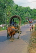 SRI LANKA, rural scene, Bullock Cart along country road, SLK2112JPL