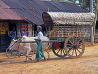 SRI LANKA, rural scene, Bullock Cart transporting firewood, SLK1360JPL