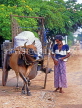 SRI LANKA, rural scene, dhobi (washerman) with Bullock Cart transporting clothes bundle, SLK1637JPL