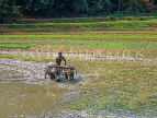 SRI LANKA, rural scene, farmer ploughing rice (paddy) field with buffalo, SLK1941JPL