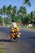 SRI LANKA, rural scene, man transporting King Coconut (Thambili) by bicycle, SLK1959JPL