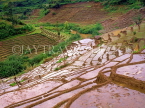 SRI LANKA, rural scene, terraced land, prepared for rice (paddy) planting, SLK381JPL