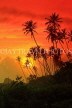SRI LANKA, south coast, Ahangama area, sunset with coconut trees in silhouette, SLK4750JPL