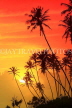 SRI LANKA, south coast, Ahangama area, sunset with coconut trees in silhouette, SLK4753JPL