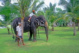 SRI LANKA, south coast, Bentota, child enjoying elephant ride, SLK1656JPL