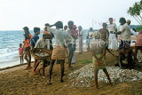 SRI LANKA, south coast, Beruwela, fishermen sorting out their catch, SLK1702JPL