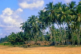 SRI LANKA, south coast, Kalutara, fishing village and coconut trees, SLK2037JPL
