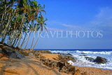SRI LANKA, south coast, Tangalle, leaning coconut trees, SLK2014JPL