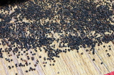 SRI LANKA, spices, Black Pepper drying in the sun, SLK3223JPL