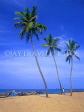 SRI LANKA, west coast, beach with coconut trees and fishing boats, SLK100JPL