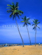 SRI LANKA, west coast, beach with coconut trees and fishing boats, SLK1514JPL