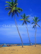 SRI LANKA, west coast, beach with coconut trees and fishing boats, SLK3287JPL