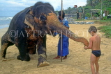 SRI LANKA, west coast, boy (tourist) feeding elephant, SLK1714JPL