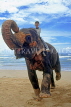 SRI LANKA, west coast, boy (tourist) on elephant ride, SLK1687JPL