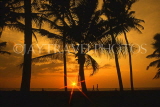 SRI LANKA, west coast, sunset and coconut trees, SLK197JPL