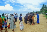 SRI LANKA, west coast beach, people gathered around elephant for rides, SLK2025JPL