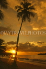 ST LUCIA, sunset and coconut tree, west coast, STL700JPL