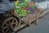 SWITZERLAND, Valais, Alps, Le Tretien, potted flowers in wheel barrow, SW1299JPL
