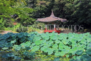 South Korea, SEOUL, Changdeokgung Palace, Secret Garden, Aeryeonji Pond & Uiduhap, SK164JPL