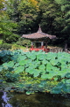 South Korea, SEOUL, Changdeokgung Palace, Secret Garden, Aeryeonji Pond & Uiduhap, SK166JPL