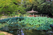 South Korea, SEOUL, Changdeokgung Palace, Secret Garden, Aeryeonji Pond & Uiduhap, SK167JPL