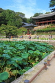 South Korea, SEOUL, Changdeokgung Palace, Secret Garden, Buyongji Pond & Juhamnu Pavilion, SK156JPL