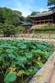 South Korea, SEOUL, Changdeokgung Palace, Secret Garden, Buyongji Pond & Juhamnu Pavilion, SK157JPL