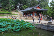 South Korea, SEOUL, Changdeokgung Palace, Secret Garden, Buyongji Pond & Yeonghwadang pavilion, SK161JPL
