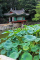 South Korea, SEOUL, Changdeokgung Palace, Secret Garden, Buyongji Pond & pavilion, SK152JPL