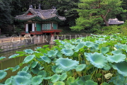 South Korea, SEOUL, Changdeokgung Palace, Secret Garden, Buyongji Pond & pavilion, SK154JPL