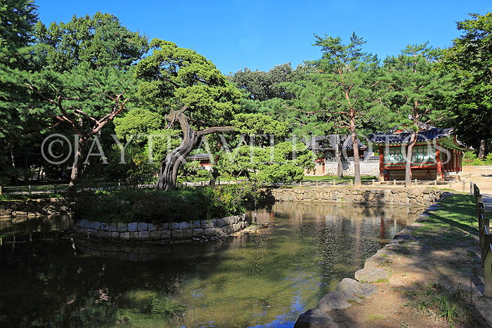South Korea, SEOUL, Jongmyo Shrine, pond, SK922JPL