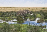 TANZANIA, Ngorongoro Crater, Elephant in waterhole, TAN799JPL