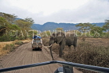 TANZANIA, Serengeti National Park, Elephant crossing road and safari jeeps, TAN817JPL