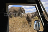 TANZANIA, Serengeti National Park, Elephants seen from safari jeep, TAN826JPL
