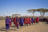 TANZANIA, Serengeti National Park, Massai Mara people dancing, TAN838JPL