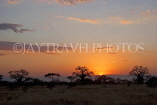 TANZANIA, Tarangire National Park, sunset, TAN854JPL