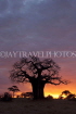 TANZANIA, Tarangire National Park, sunset and Baobab tree, TAN856JPL