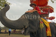THAILAND, Ayuthaya, elephant riding, THA2180JPL