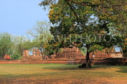THAILAND, Ayutthaya, Wat Phra Mahathat complex ruins, THA2633JPL