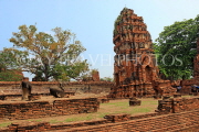 THAILAND, Ayutthaya, Wat Phra Mahathat complex ruins, THA2634JPL