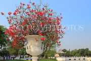 THAILAND, Bang Pa-In (nr Ayutthaya), gardens, ornamental pots, Bouainvillea flowers, THA2572JPL