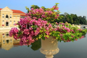 THAILAND, Bang Pa-In (nr Ayutthaya), gardens, ornamental pots, Bouainvillea flowers, THA2573JPL