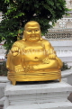 THAILAND, Bangkok, WAT ARUN (Temple of Dawn), smiling Buddha statue, THA3128JPL